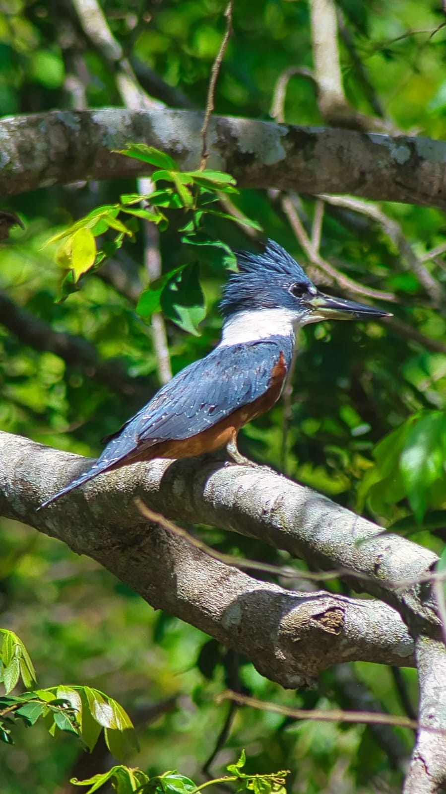 Expedição do Parque