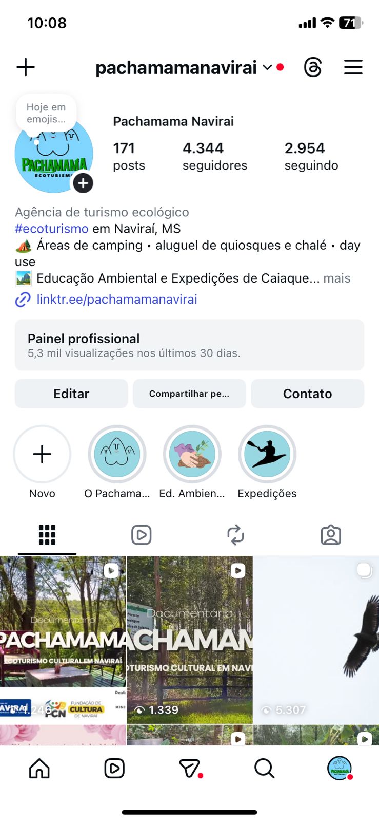 Perfil do Instagram @pachamamanavirai